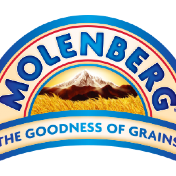 Buy Molenberg Toast Bread Balance Light Grains online at